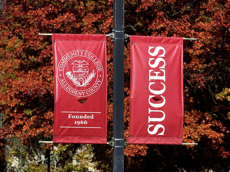 Autumn leaves frame the "SUCCESS" banners on a CCAC campus.