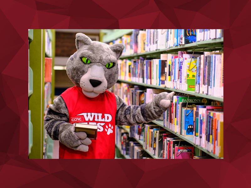 Thousands of books from CCAC’s libraries will go on sale March 16–20 at Allegheny Campus; Boyce Campus; North Campus and South Campus.