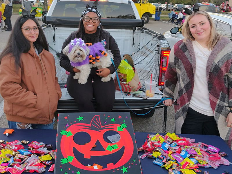 The CCAC community and neighborhood residents are invited to enjoy a series of fall celebrations at CCAC campuses and centers.